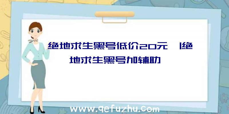 「绝地求生黑号低价20元」|绝地求生黑号加辅助